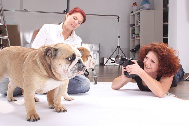 Christine Steimer - Fotografie